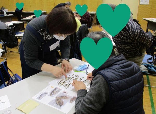 2026.1.16ふじみ野じゅく　煮干しの解剖